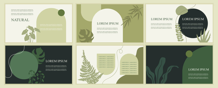 Set of abstract natural templates for presentation. Green leaves and plants. Horizontal banners. Vector flat illustrations. EPS 10. Organic cosmetic