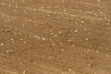 plowed agricultural field. An ecologically clean place for growing grain crops.