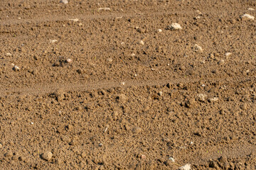 plowed agricultural field. An ecologically clean place for growing grain crops.