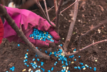 Complex mineral fertilizers in granules for agriculture and garden. Spring fertilizer for garden...