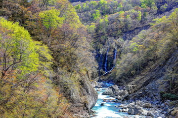 新緑の秋山郷夫婦滝