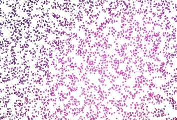 Light Pink vector texture with disks.