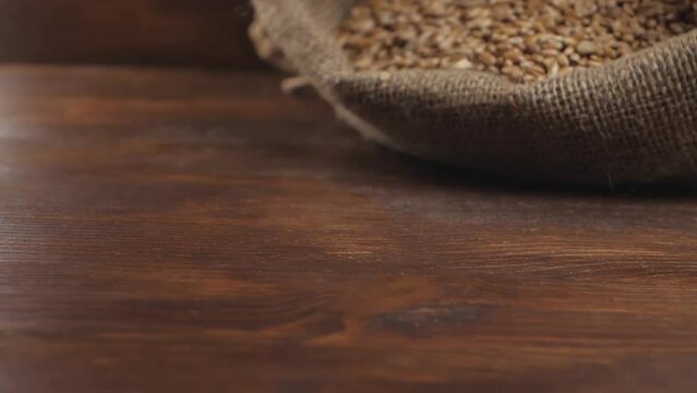 Wheat grains fall from bindle sack on brown wooden surface. Harvest time activity landscape. Rural agriculture summer. Healthy natural bio food concept. Growing plant, cultivate crop