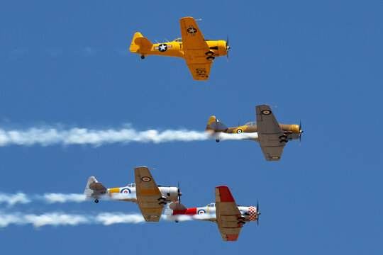 Temora, Australia - November 2, 2013: Four North American AT-6 Harvard single engine military training aircraft from World War II flying in formation..