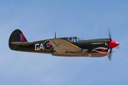 Temora, Australia - November 2, 2013: Curtiss P-40N Kittyhawk World War II fighter aircraft VH-ZOC flying against a blue sky..