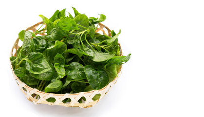 Watercress in bamboo basket on white background