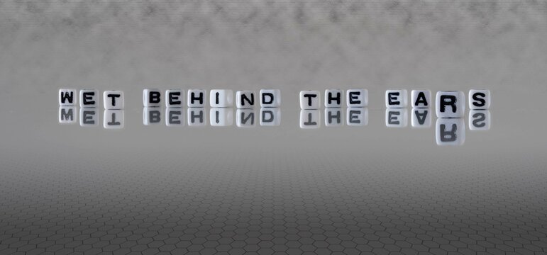 wet behind the ears word or concept represented by black and white letter cubes on a grey horizon background stretching to infinity