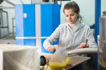 Skilled woman engaged in traditional olive oil production inspecting first pressing of olives and oil decanting