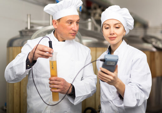 Interested focused male and female brewers wearing white uniform controlling process of craft beer production in small brewery, measuring pH level with digital meter
