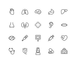 Collection of internal medicine department linear icons. Set of human organ, medical, hospital symbols drawn with thin contour lines. Vector illustration.