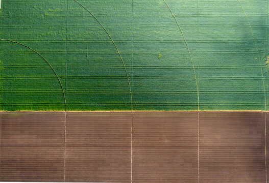 Aerial top view of a different agriculture fields. Drone shot