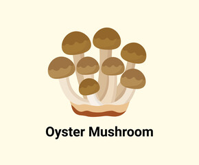 Oyster Mushrooms illustration set. vegetable, food Vector drawing. Hand drawn style.