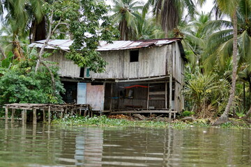 Fototapeta na wymiar House on the bank of the river in the jungle, outside of San Lorenzo, Ecuador