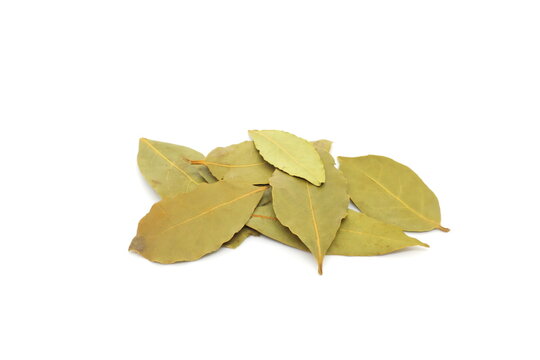 Dried Bay Laurel Leaves Or Laurus Nobilis Spice Isolated On White Background.