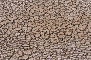 Background of dry cracked soil