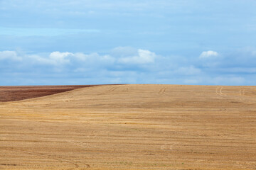 tillage in the agricultural field for planting a new crop