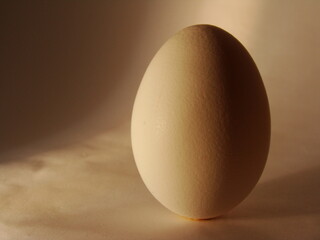 A egg
