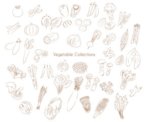Various Vegetable drawing collections