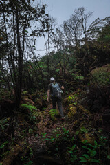 Fototapeta na wymiar hiker man walking through tropical cloud forest bushes in winter time in the green mountains of Costa Rica