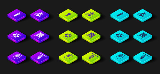 Set Spider in jar, Butterfly cocoon, Insect, Hive for bees, Ant and Larva insect icon. Vector