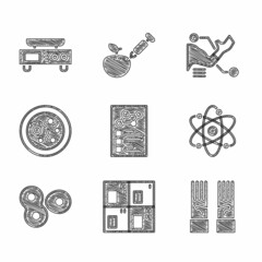 Set Clinical record, Periodic table, Medical rubber gloves, Atom, Cell division, Petri dish with bacteria, Prosthesis hand and Electronic scales icon. Vector