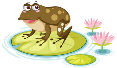Cute frog on lily pad on white background © brgfx