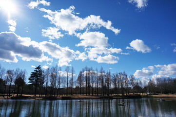 公園の青空と雲