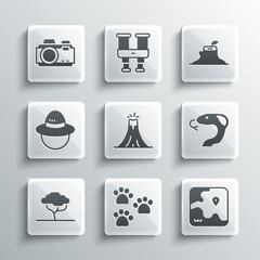 Set Paw print, Africa safari map, Snake, Volcano eruption, African tree, Camping hat, Photo camera and Tree stump icon. Vector