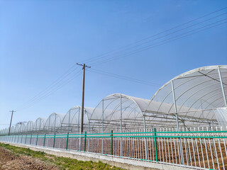 Fototapeta premium Beautiful greenhouse, outdoors