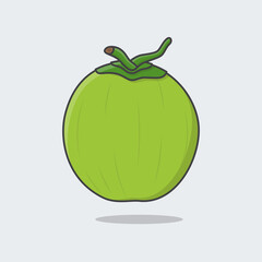 Green Coconut Cartoon Vector Illustration. Fresh Young Coconut Flat Icon Outline