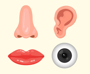 face part illustration set. body, eye, nose, ear, mouse Vector drawing. Hand drawn style.