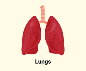 lung illustration set. Human, body Vector drawing. Hand drawn style.