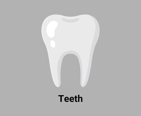 tooth illustration set. human, body Vector drawing. Hand drawn style.