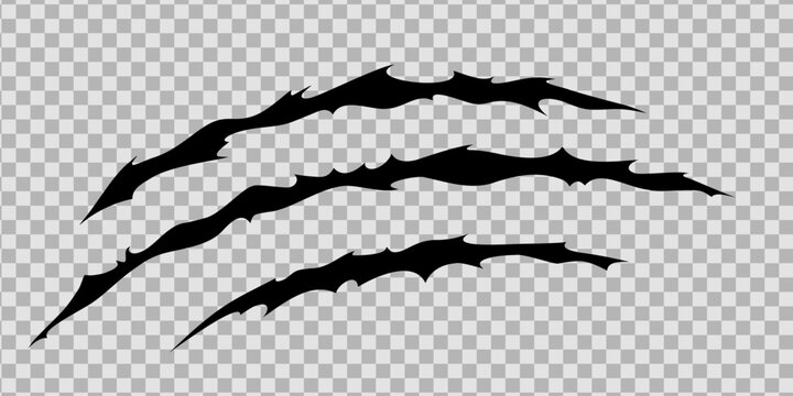 Claw scratches of wild animal. Cat scratches marks isolated in transparent background. Monochrome vector illustration