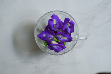 a cup of purple flower in white background 