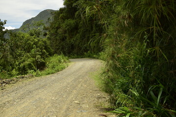 Death road, Camino de la Muerte, Yungas North Road between La Paz and Coroico, Bolivia