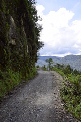 Fototapeta na wymiar Death road, Camino de la Muerte, Yungas North Road between La Paz and Coroico, Bolivia