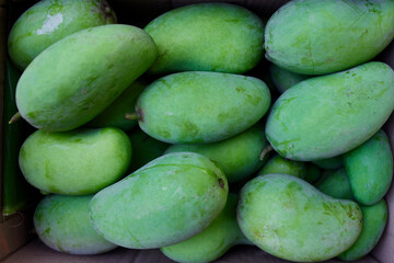 Fresh mango fruit 