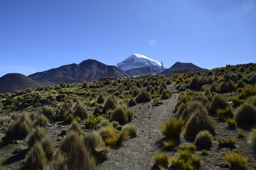 Sajama National Park surrounded by snow-capped mountains with black clouds surrounded by dry vegetation. Bolivia