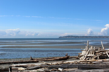 Low tide and a pile of driftwood at a Pacific Northwest beach