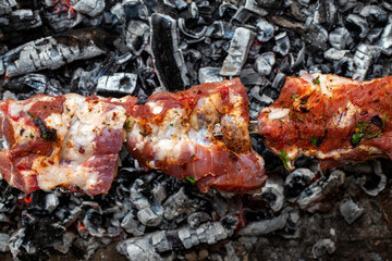 shish kebab from fried pork meat