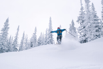 Skier freerider jumping in spruce forest in snowdrift