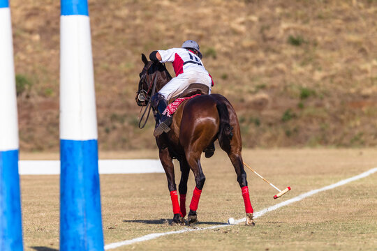 Polocrosse Images – Browse 63 Stock Photos, Vectors, and Video | Adobe ...