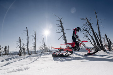 Rider on a winter motorcycle snowbike in a dry winter forest, sunny day.