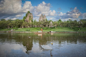 Fototapeta na wymiar Landscape scene with swans swimming on the water