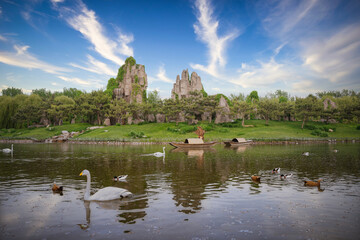 Fototapeta na wymiar Landscape scene with swans swimming on the water