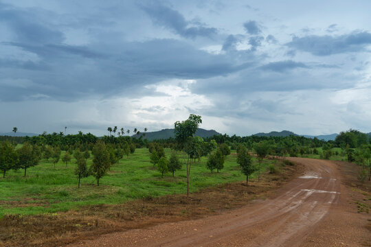 Curved paths of flooded gravel soil road. Surrounded by green grass and garden. And mountain forests in the background under a cloudy sky.