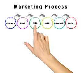 Six Components of Marketing Process