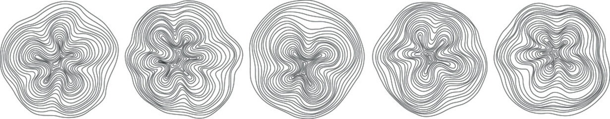 Abstract tree rings. Vector topographic map concept. Seamless background. Thin black lines on white