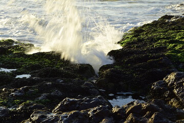 Ocean waves wash over rocky coasts. Antofagasta, Chile.